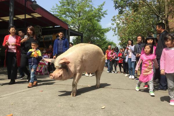 視頻丨中國代表回?fù)裘婪轿勖铮褐蟹秸\意努力貢獻(xiàn)不容質(zhì)疑歪曲抹殺