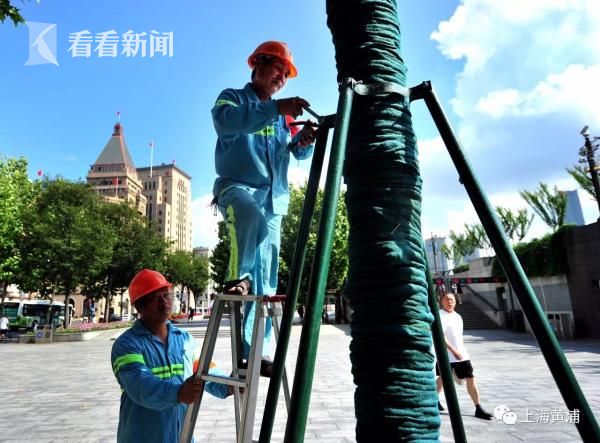 【反差黑料吃瓜網(wǎng)正能量】2月2日全社會(huì)跨區(qū)域人員活動(dòng)量完結(jié)32194.3萬人次