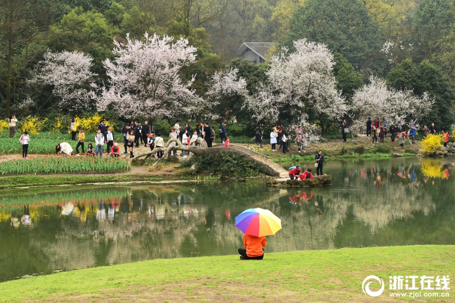 【hlw09.ccm黑料】春運(yùn)大幕開啟 白云機(jī)場為旅客提供便捷出行服務(wù) 室內(nèi)無人駕駛擺渡車上線