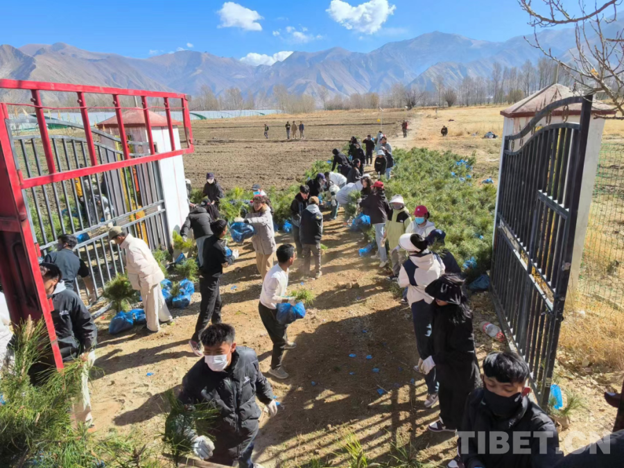 【黑料社】天上中國空間站 地上北京紫禁城 同框啦