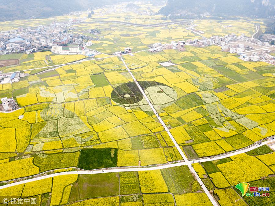 鄭州開展住房租賃新規(guī)宣傳 助力市民提升租房法律意識