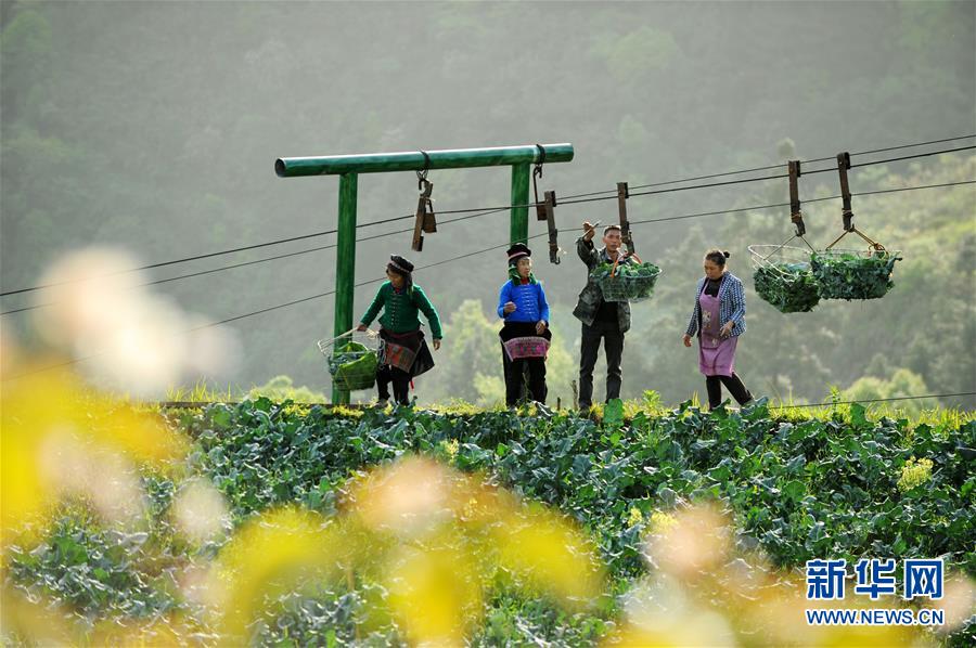 經(jīng)濟(jì)景氣度上升 兩個(gè)期限LPR接連3個(gè)月“按兵不動(dòng)”