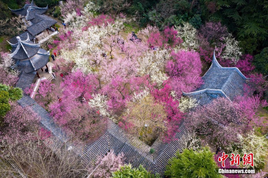 港股航空股走強 中國國航漲超6%