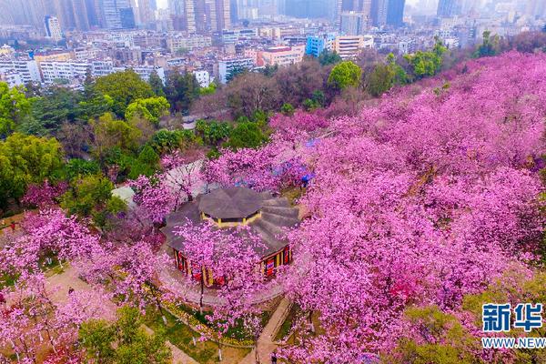 澳大利亞阿德萊德動(dòng)物園舉辦歡迎新熊貓開(kāi)館典禮