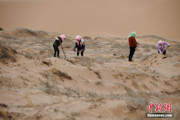 【免費的api接口網站】許多證券公司披露了回購進展 “注銷”回購逐漸成為氣候