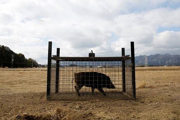 極越汽車被曝“多部門原地解散” 公關(guān)負(fù)責(zé)人徐繼業(yè)：會(huì)繼續(xù)堅(jiān)守崗位