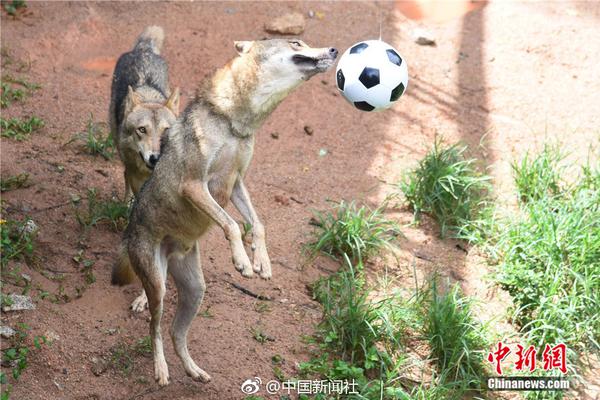 【黑色爆料每日分享】青島首條海島低空 物流航線注冊(cè)