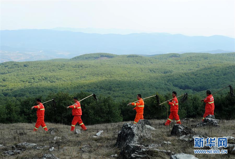 上海：體育已成為居民生活消費的重要組成部分