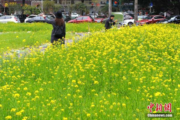 理性看待債市大漲 莫忽視背后風險