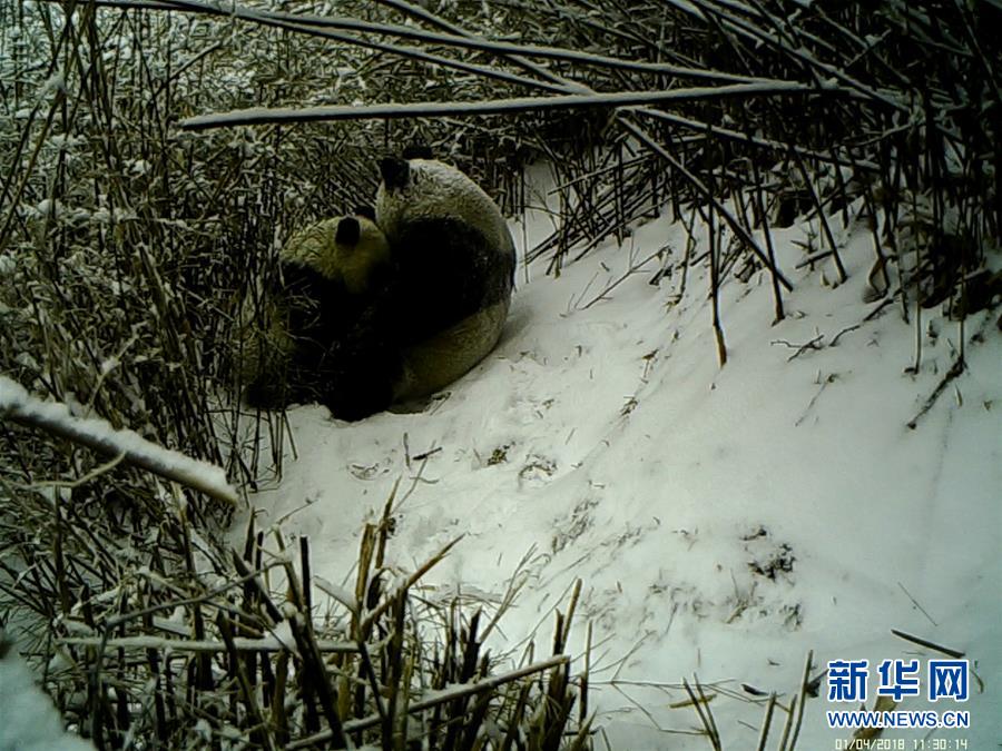 【nga】一鍵“偷油” 部分地方加油站“鬼秤”亂象觀察