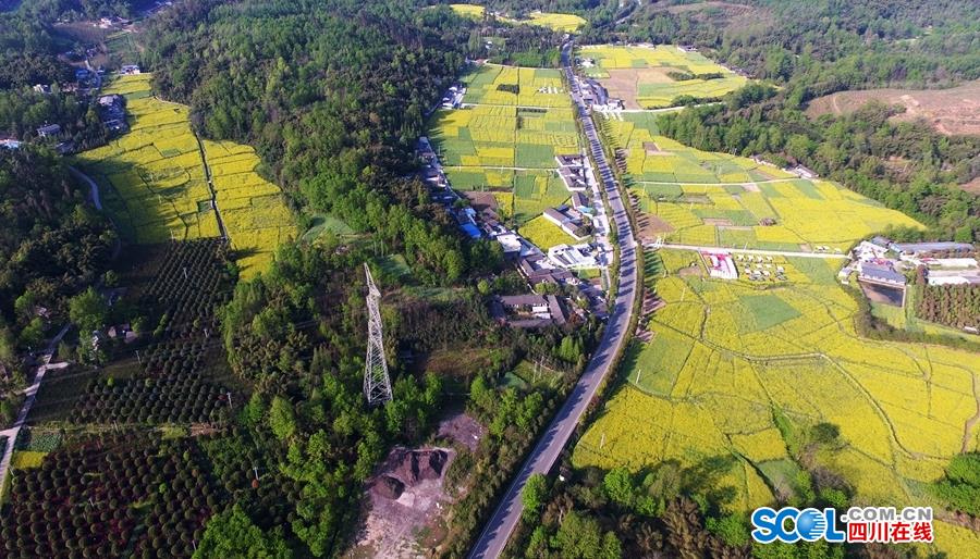 【51爆料網每日爆料黑料】謝添地“蠻橫”出圈 蒙牛舊將白瑛孤注一擲