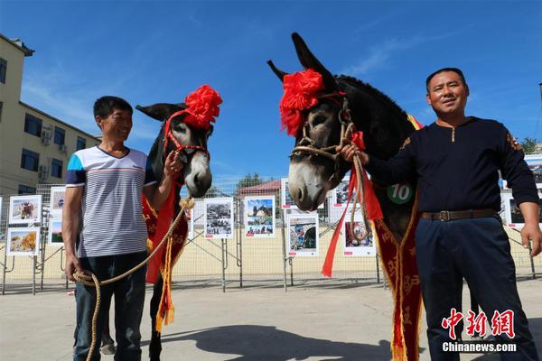 【黑料網(wǎng)】穩(wěn)匯率政策持續(xù)加碼 離岸人民幣匯率應(yīng)聲反彈近百點(diǎn)