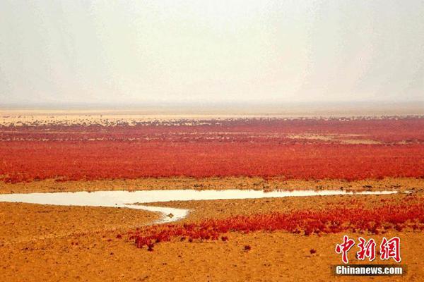 【吃瓜黑料視頻永久地址】奧利奧牙膏什么梗