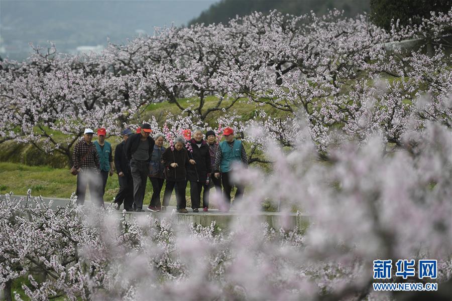 【黑料網(wǎng)】九陽(yáng)潤(rùn)泉胡軍程：新能源汽車上游資源板塊仍值得期待