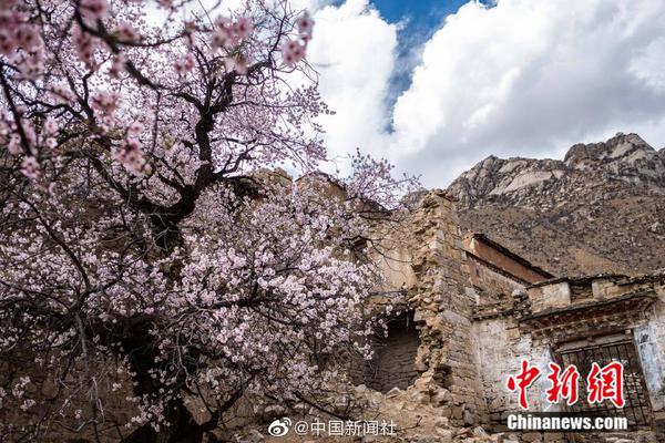 丹麥正府稱愿同特朗普團隊討論美在格陵蘭島訴求