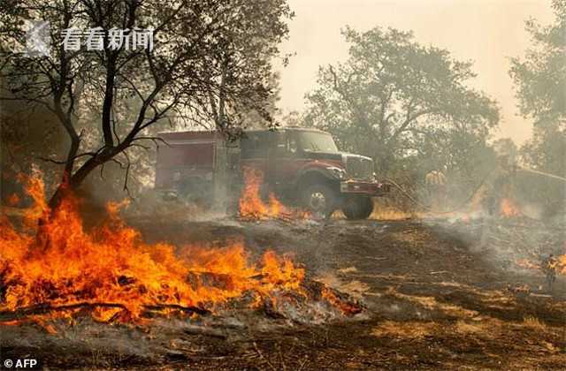 【蘑菇視頻爆料黑料吃瓜】全紅嬋當(dāng)選世界泳聯(lián)年度最佳女子跳水運(yùn)動(dòng)員