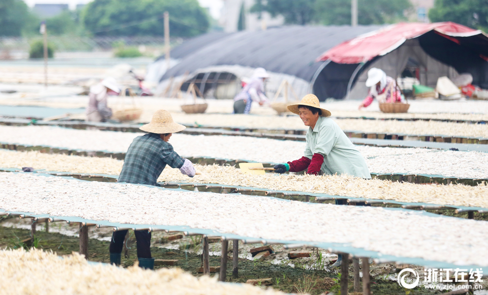 【51爆料網(wǎng)每日爆料黑料】山西古建文化展在滬開幕